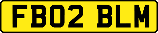 FB02BLM