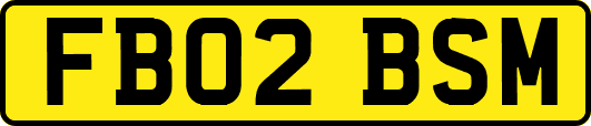 FB02BSM