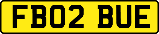 FB02BUE