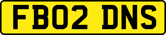 FB02DNS