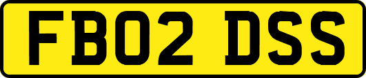 FB02DSS