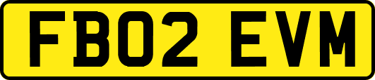 FB02EVM