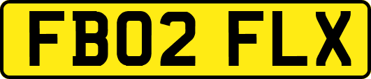 FB02FLX