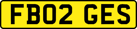FB02GES