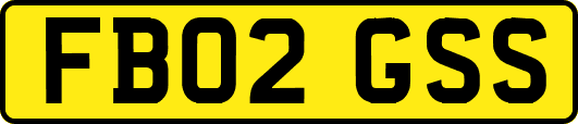 FB02GSS