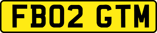 FB02GTM