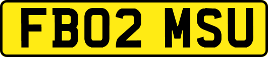FB02MSU