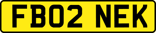 FB02NEK
