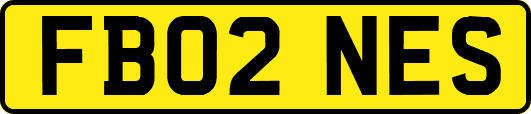 FB02NES