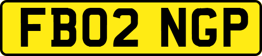 FB02NGP