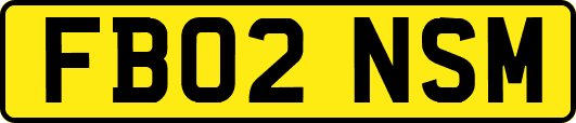 FB02NSM