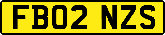 FB02NZS