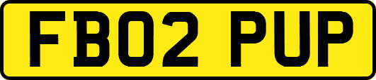 FB02PUP