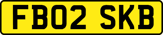 FB02SKB