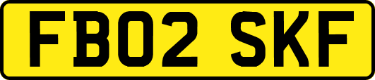 FB02SKF