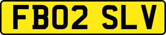 FB02SLV