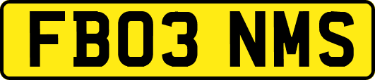 FB03NMS