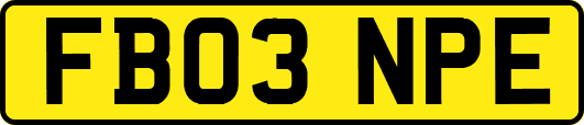 FB03NPE
