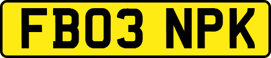 FB03NPK