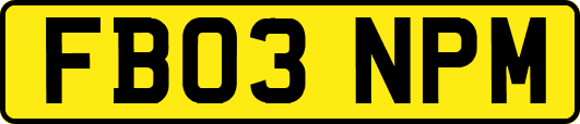 FB03NPM