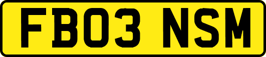 FB03NSM