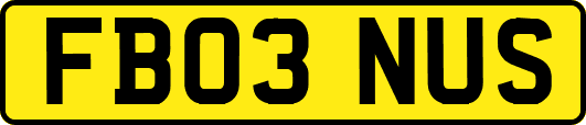 FB03NUS