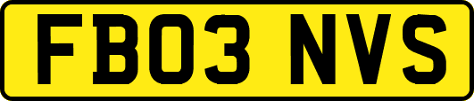 FB03NVS