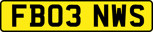FB03NWS