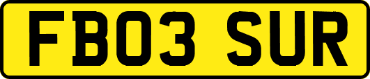 FB03SUR