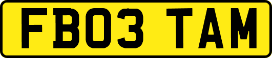 FB03TAM