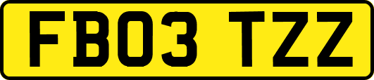 FB03TZZ