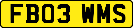 FB03WMS