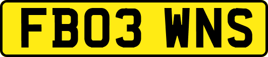 FB03WNS