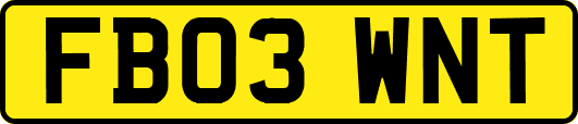 FB03WNT