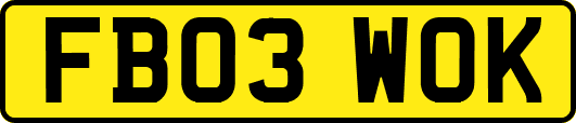 FB03WOK