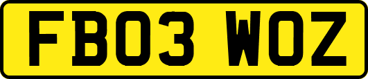 FB03WOZ