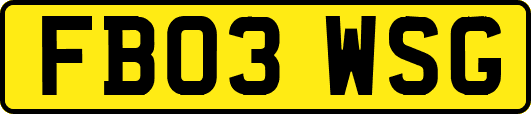 FB03WSG
