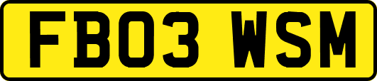 FB03WSM