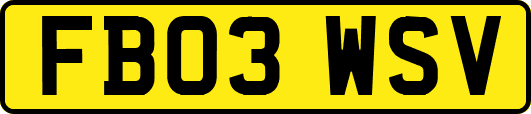 FB03WSV
