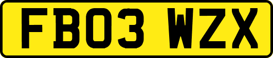 FB03WZX