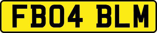 FB04BLM
