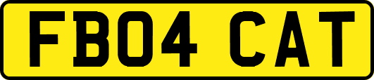 FB04CAT