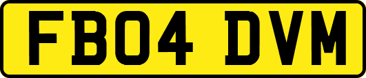 FB04DVM