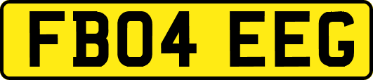 FB04EEG