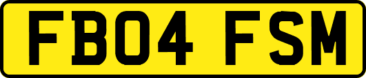 FB04FSM
