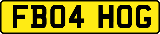 FB04HOG