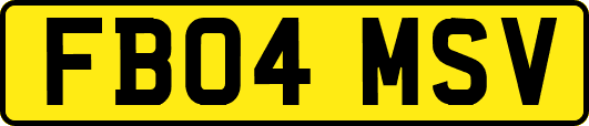 FB04MSV