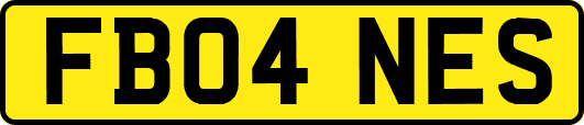 FB04NES