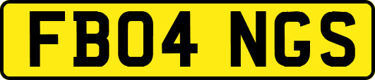 FB04NGS