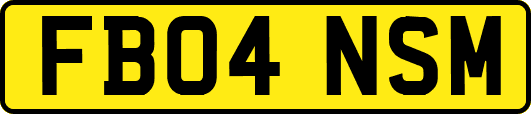 FB04NSM
